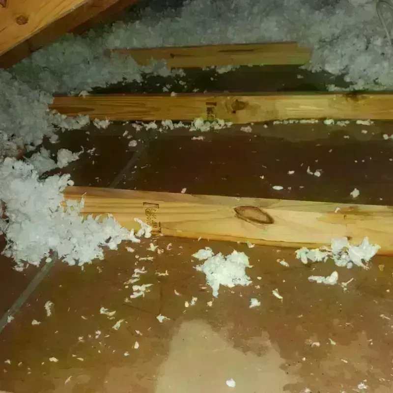 Attic Water Damage in Perquimans County, NC